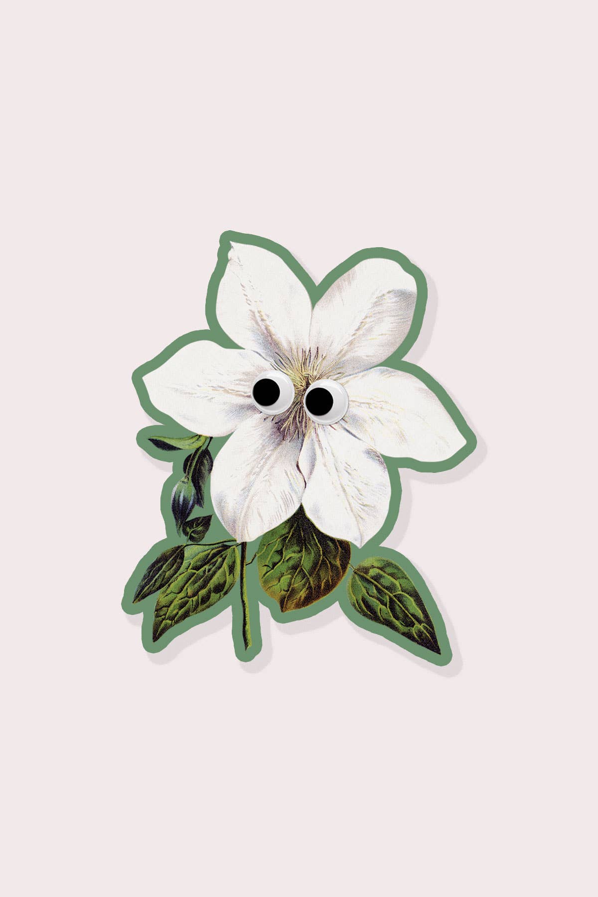 Googly Clematis Vinyl Sticker