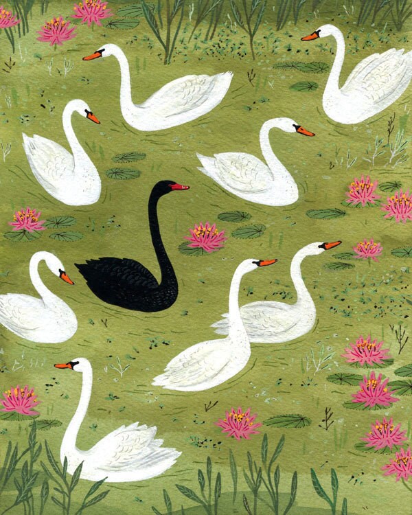 Black Swan Card