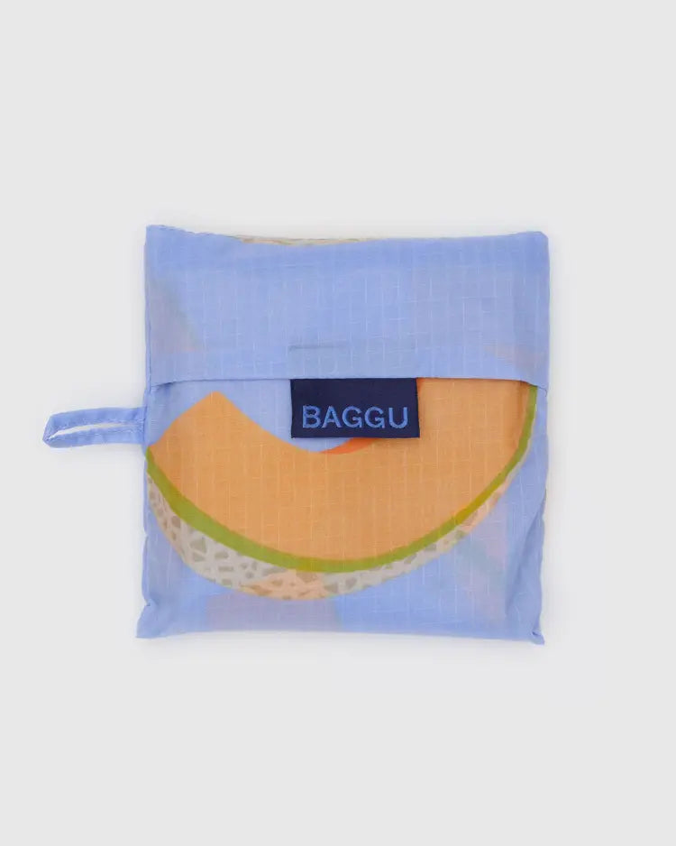 Standard Baggu - Cantaloupe Blue