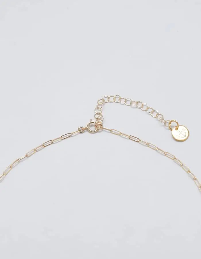 Gold Pave Disc Coin Lariat - Proper